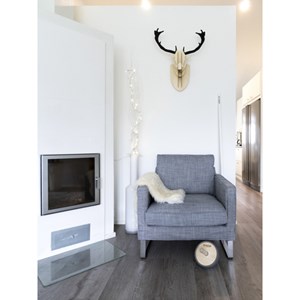 Roue de musculation abdominale Fitwood