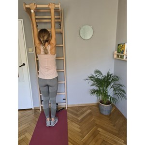 Espalier bois multifonctions BenchK 110