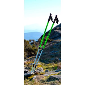Bâtons de marche dynamique bungypump