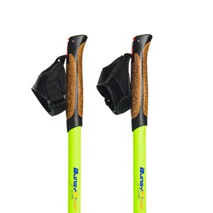 Bâtons de marche dynamique bungypump