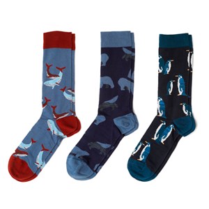 Coffret chaussettes Grand Nord 42-45