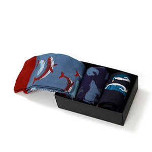 Coffret chaussettes Grand Nord 42-45