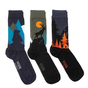 Coffret chaussettes forêt