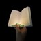 Lampe de lecture Lizia 3 en 1 Vert