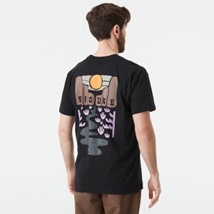 T-shirt coton bio Picture Organic L