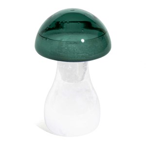 Baromètre prévisions météo champignon Vert