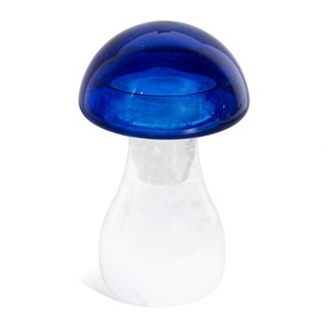 Baromètre prévisions météo champignon Bleu
