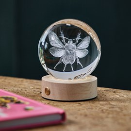 Sulfure lumineuse rechargeable