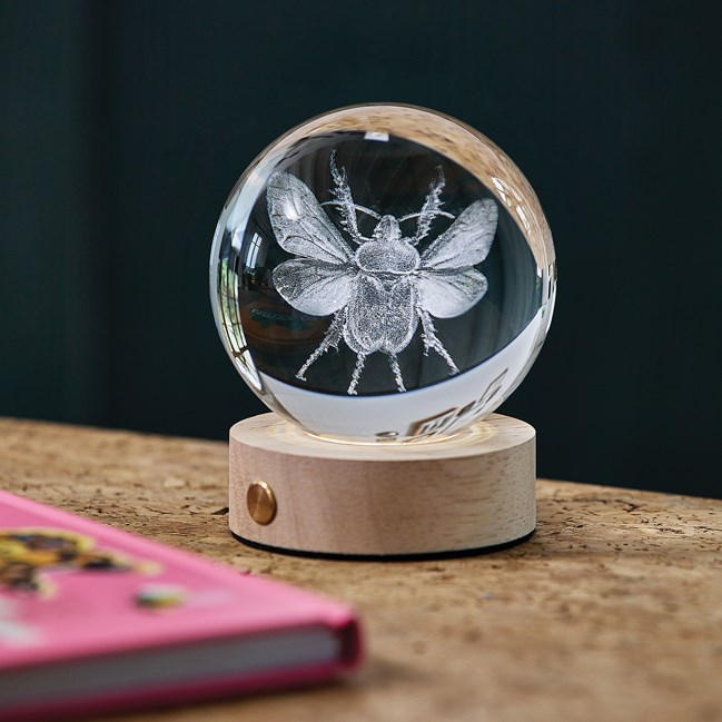 Sulfure lumineuse rechargeable