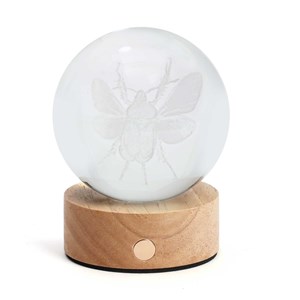 Sulfure lumineuse rechargeable Scarabée