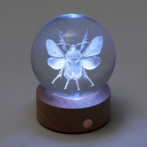 Sulfure lumineuse rechargeable Scarabée