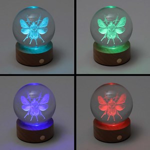 Sulfure lumineuse rechargeable Scarabée