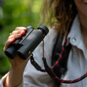 Jumelles Falco 10X25 Kite