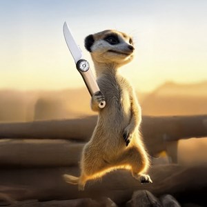 Couteau Suricate lame acier inoxydable et manche en bois de hêtre TB 1648