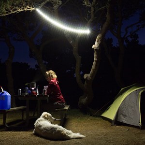 Luminoodle