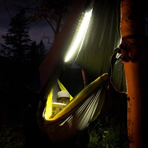 Luminoodle