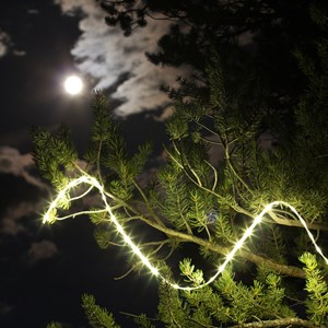 Luminoodle