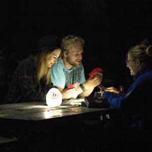 Luminoodle
