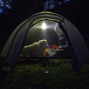 Luminoodle