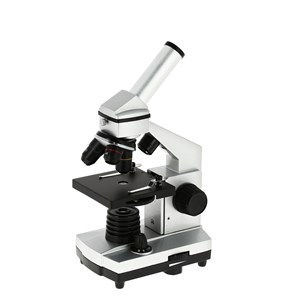 Microscope avec oculaire numérique