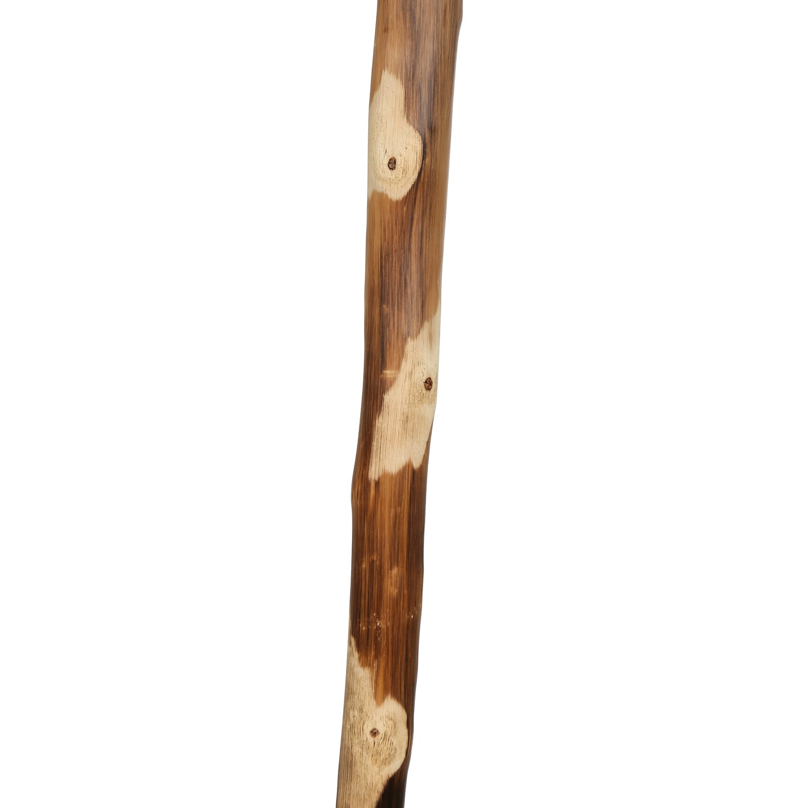 Manufrance  Bâton de marche bois racine naturelle chalumé et verni