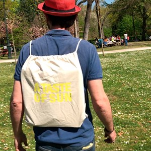 Four solaire SunGood