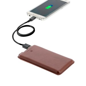 Chargeur 8000 mAh double USB