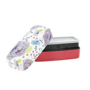 Bento Libellules
