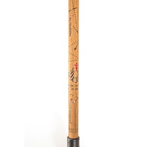 Paire de bâtons de marche St Jacques