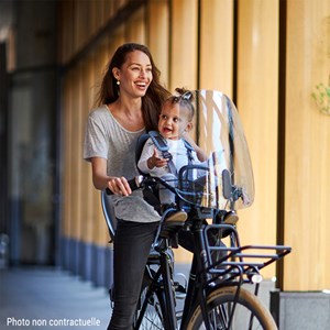 Pare-brise doré pour vélo
