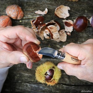 Couteau Opinel n°7 châtaignes