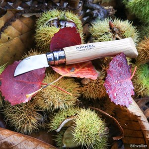 Couteau Opinel n°7 châtaignes
