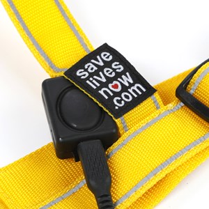 Harnais lumineux rechargeable