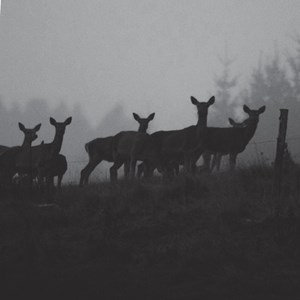 Monoculaire à vision nocturne X5