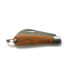 Set cueillette de champignons