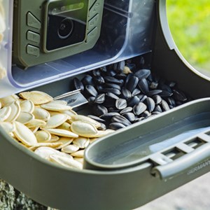 Mangeoire oiseaux avec caméra