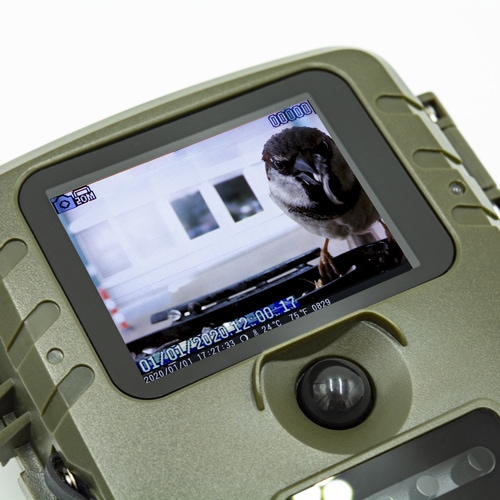 SOLIOM Mangeoire à oiseaux avec caméra sans fil pour l'extérieur, caméra  vidéo pour oiseaux avec identification IA des espèces d'oiseaux