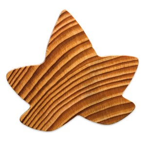 Feuille d’érable parfumée cèdre Esteban