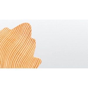 Feuille d’érable parfumée cèdre Esteban