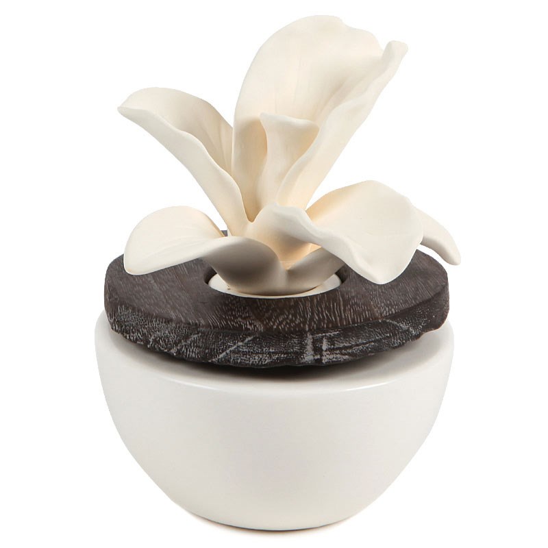 diffuseur parfum par capillarité