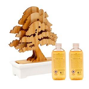 Coffret Cèdre arbre à parfum Esteban