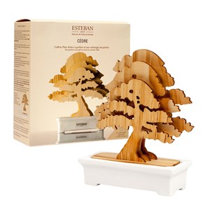 Coffret Cèdre arbre à parfum Esteban