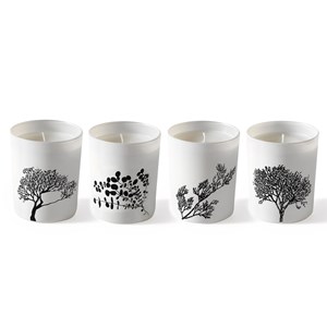 Bougie Arbre Esprit de Santal