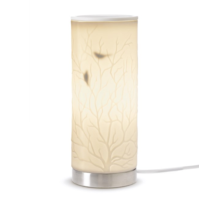 lampe solaire interieur nature et decouverte