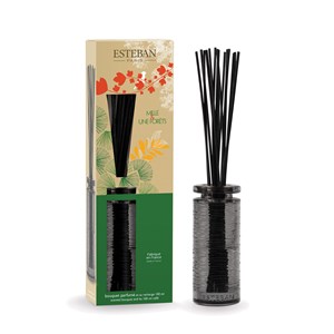 Bouquet parfumé Mille et une forêts