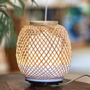 Adaptateur pour 60160950