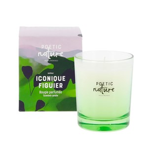 Bougie parfumée Iconique Figuier