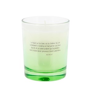 Bougie parfumée Iconique Figuier