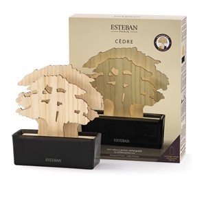 Coffret arbre à parfum et recharge cèdre