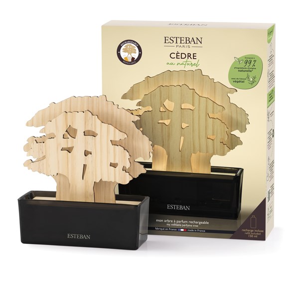 Esteban - Arbre à parfum et recharge Cèdre naturel